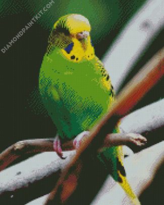 Green Budgerigar On A Branch diamond painting