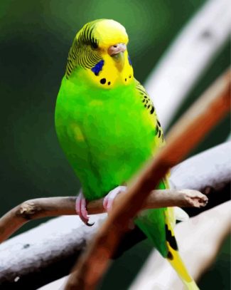 Green Budgerigar On A Branch diamond painting