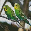 Green Budgerigars diamond painting