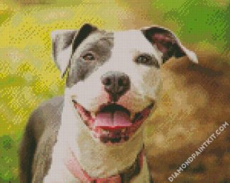 Happy Pitbull diamond painting