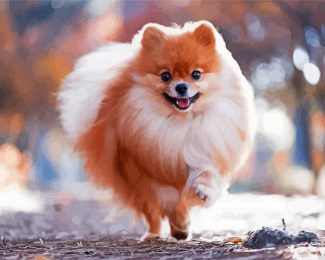 Happy Pomeranian diamond painting