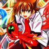 High School DxD Anime diamond painting