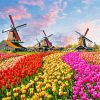 Keukenhof Netherlands diamond painting