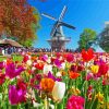 Keukenhof Garden diamond painting