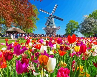 Keukenhof Garden diamond painting