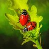 Ladybugs On A Leaf diamond painting