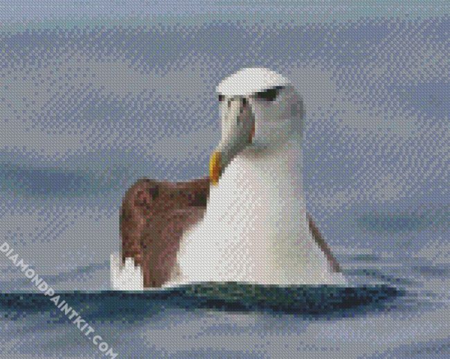 Lonelly Seabird diamond painting