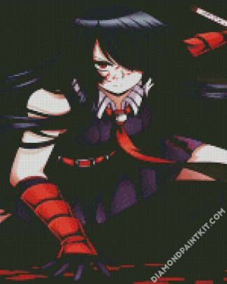 Mad Akame diamond painting