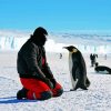 Man And Penguins In Antarctica diamond painting