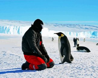 Man And Penguins In Antarctica diamond painting