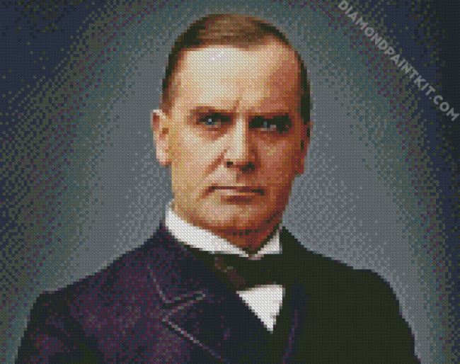 Mckinley diamond painting