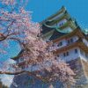 Nagoya Castle diamond painting