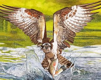 Osprey Bird Hunting diamond painting