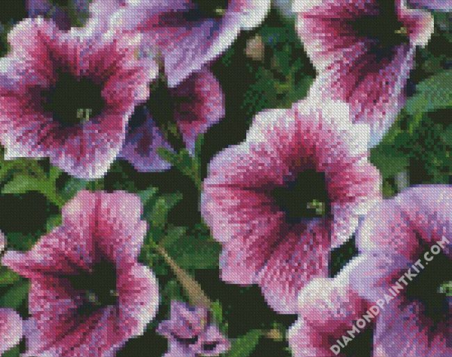 Petunia diamond painting