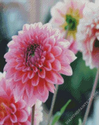 Pink Dahlia Flowers diamond painting