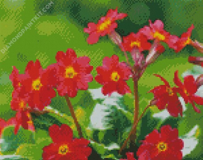 Pink Primroses diamond painting