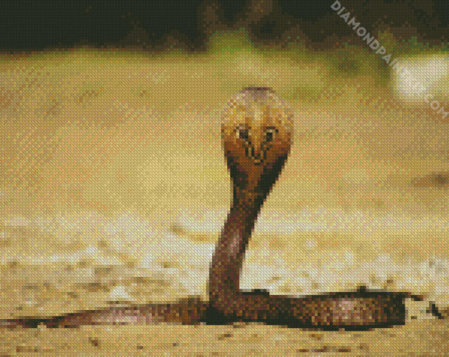 Poisonous Cobra diamond painting