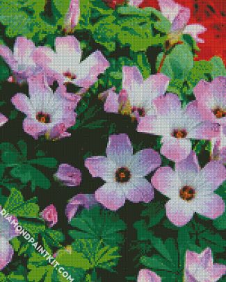 Purple Oxalis diamond painting