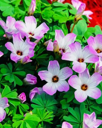 Purple Oxalis diamond painting