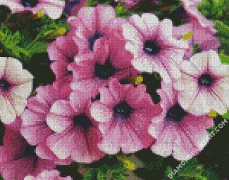 Purple Petunia Flowers diamond painting