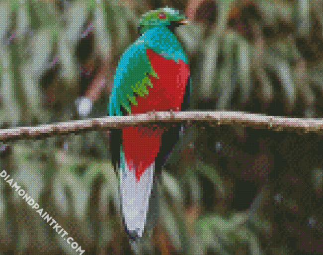 Red Eyes Quetzal diamond painting