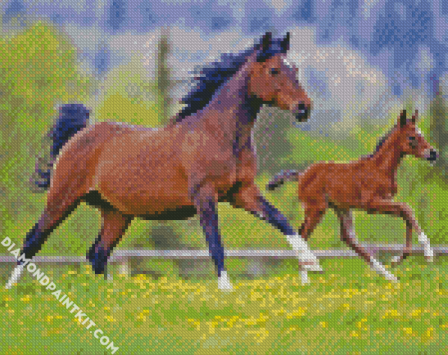 Runing Mares diamond painting