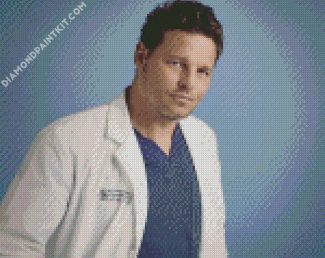 Greys Anatomy Alex Karev Adult diamond painting