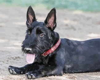 Scottish Terrier Puppy diamond painting