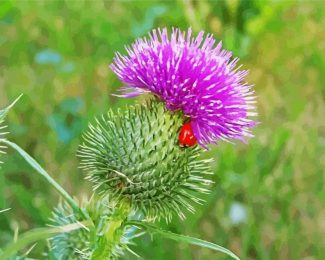 Scottish Thistle diamond painting