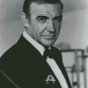 Sean Connery James Bond diamond painting