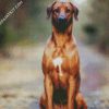 Strong Rhodesian Ridgeback diamond painting