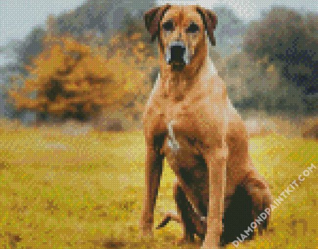 Strong Rhodesian Ridgeback Animal diamond painting