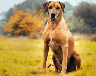 Strong Rhodesian Ridgeback Animal diamond painting