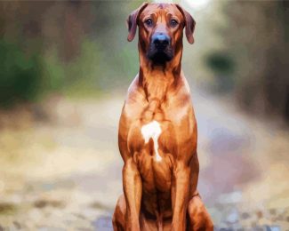 Strong Rhodesian Ridgeback diamond painting