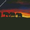 Sunset Elephants diamond painting