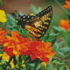 Swallowtail On Marigolds diamond painting