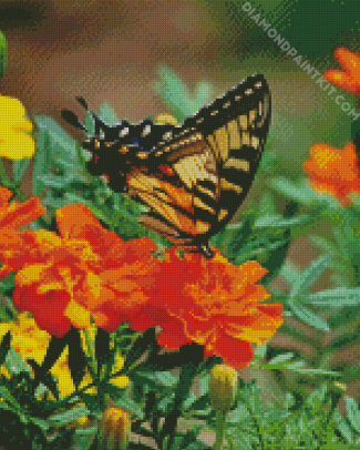 Swallowtail On Marigolds diamond painting