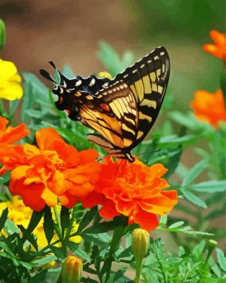 Swallowtail On Marigolds diamond painting