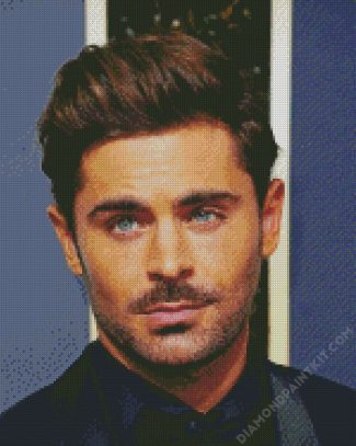 The American Actor Zac Efron diamond painting