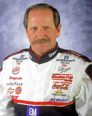 The American Race Driver Dale Earnhardt diamond painting