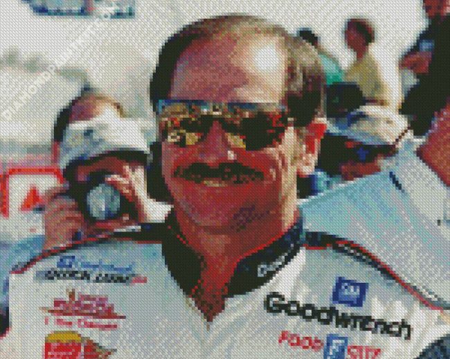 The Race Car Driver Earnhardt Dale diamond painting