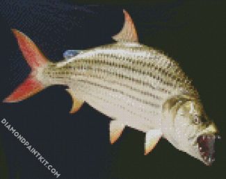 Tiger Fish diamond painting