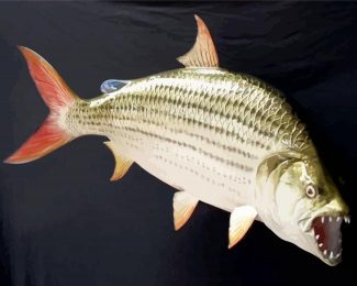 Tiger Fish diamond painting