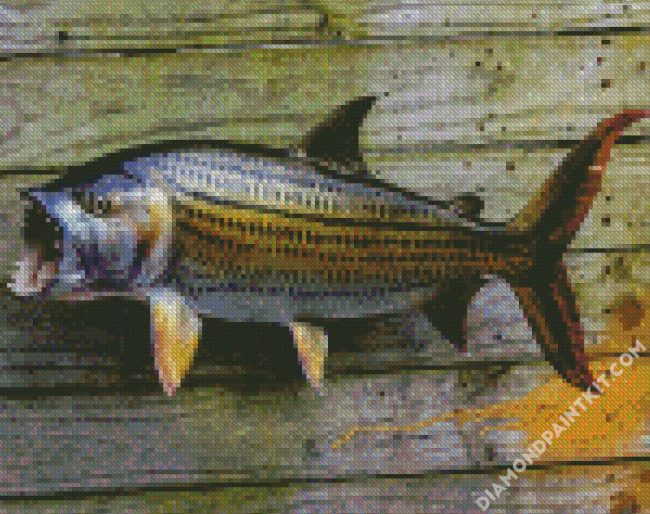 Tiger Fish diamond painting