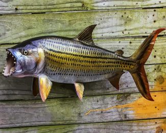 Tiger Fish diamond painting