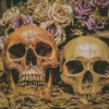 Vintage Skulls diamond painting