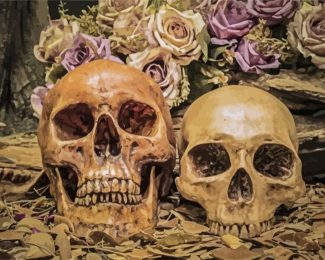 Vintage Skulls diamond painting