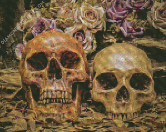 Vintage Skulls diamond painting