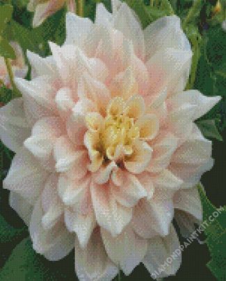 White Dahlia diamond painting