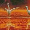 White Egrets diamond painting